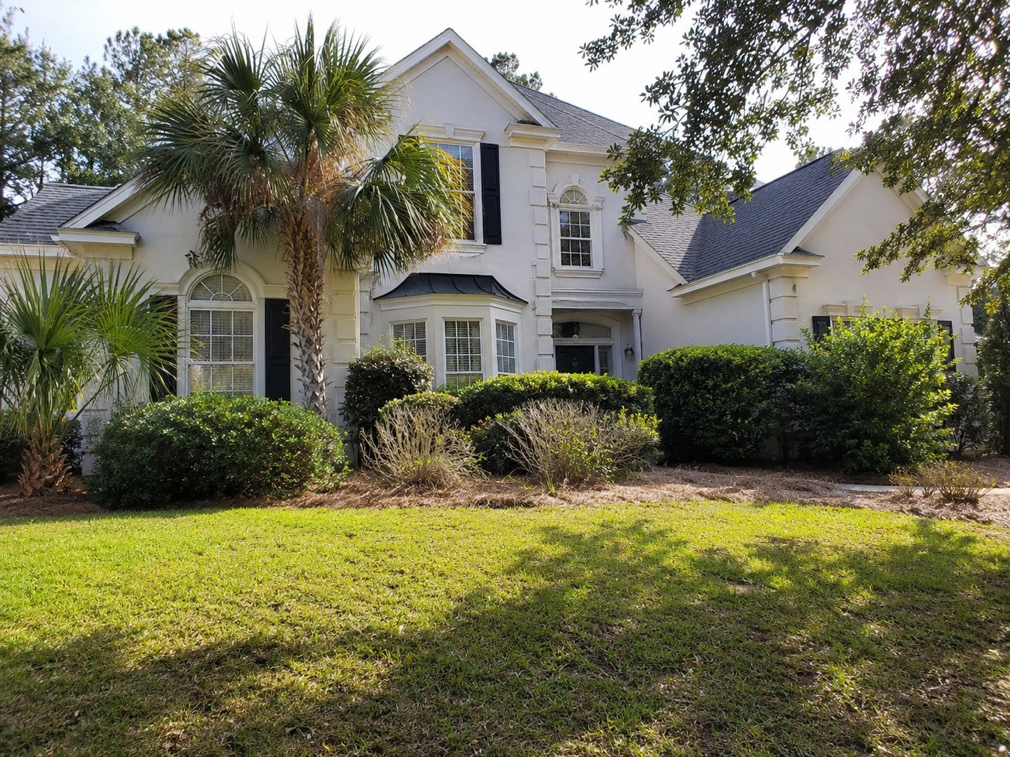 Representative full yard makeover project style